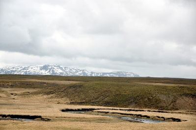 Iceland!