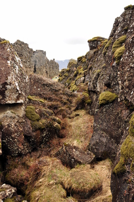 At Þingvellir National Park