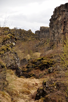 At Þingvellir National Park