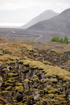 At Þingvellir National Park