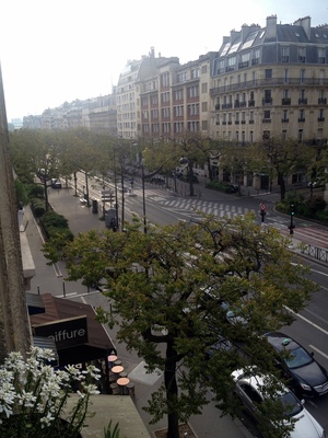 Looking out our window this morning