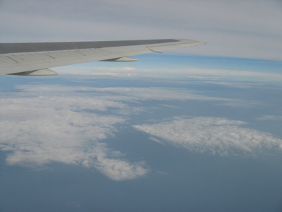 Wing of the plane