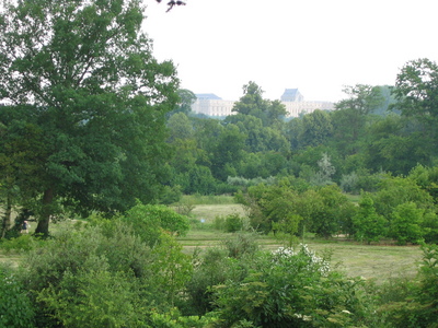 Looking back at the chateau from in the gardens and realizing how far I've walked