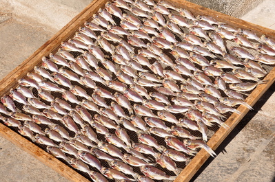 Fish drying in the Baishi Street area