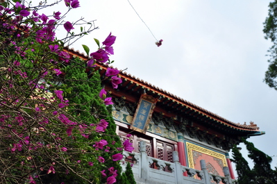 In the monastery