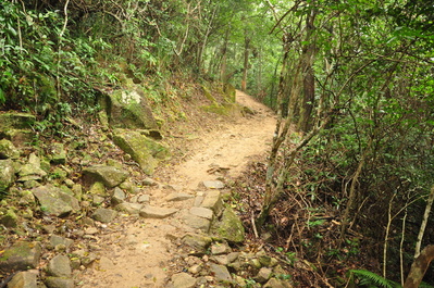 Walking on the Dragon's Back trail