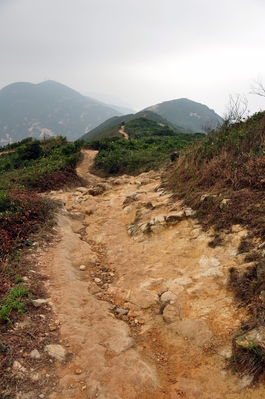 The trail continues