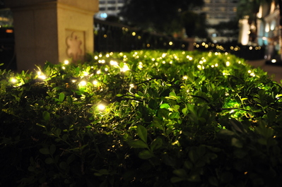 Part of a huge Christmas display at a fancy shopping outdoor shopping mall