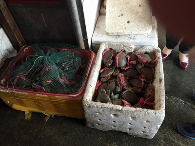 Choose your crabs