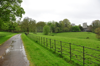 Walking into Muckross Estate