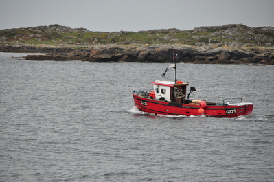 A fishing boat that followed our ferry for a while