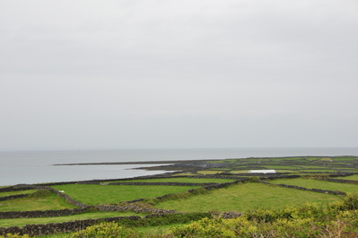 Rock wall fences on Inismor