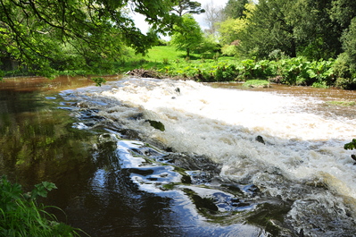 A river beside Birr castle