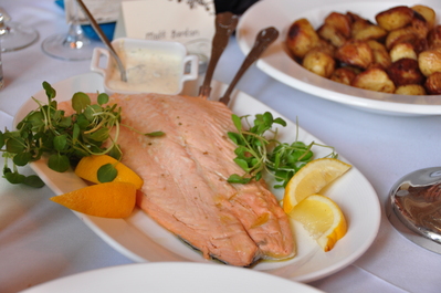 Irish salmon