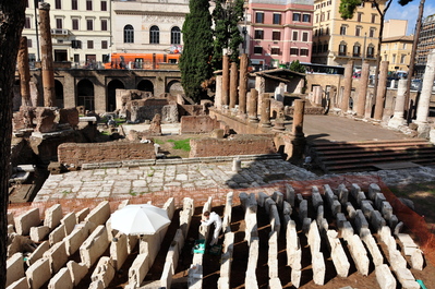 Guy doing archaeology in Area Sacra