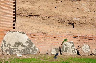 More mosaic floor from the Baths of Caracalla