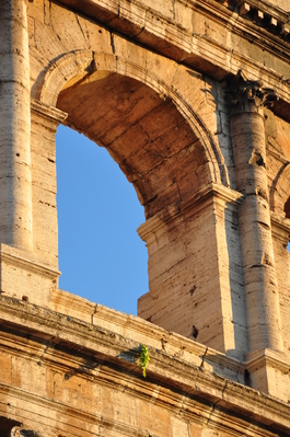 An upper arch of the Colosseum