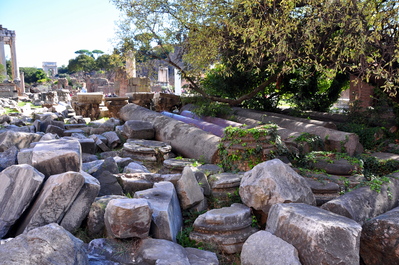 Columns in the Roman Forum