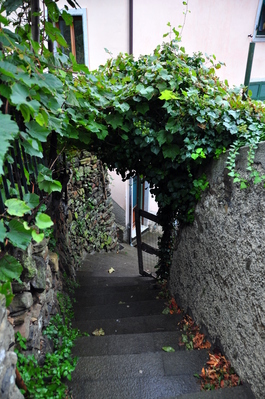 More stairs (there are a lot of them here)