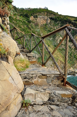 Some of the many stairs I climbed on my walk
