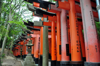 Torii at Fushimi Inari-taisha