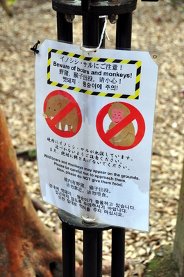 Wild beasties inhabit this area