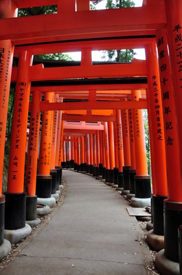 Torii at Fushimi Inari-taisha