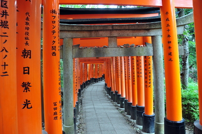 Torii at Fushimi Inari-taisha