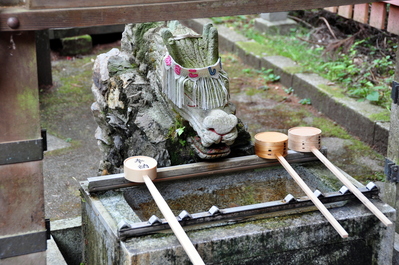 Cleansing dragon water
