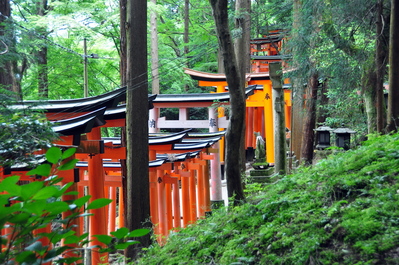Torii at Fushimi Inari-taisha