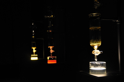 At teamLab Borderless Tea House entrance