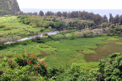 Waipio Valley