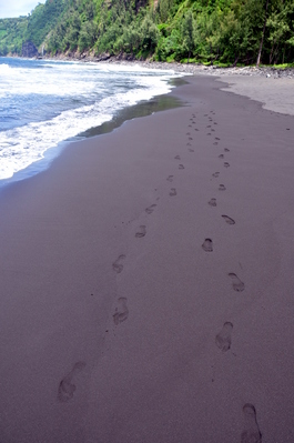 Black sand beach