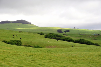 Green rolling hills in the oldest part of the island