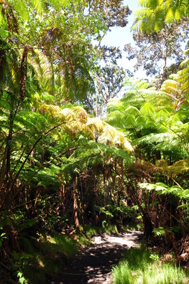 Hiking down to Kīlauea Iki Crater
