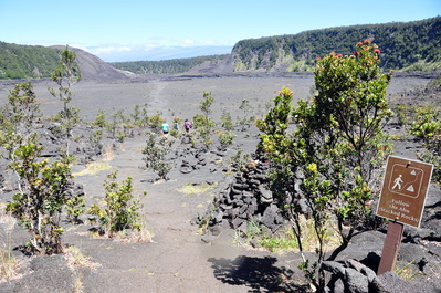 Kīlauea Iki Crater
