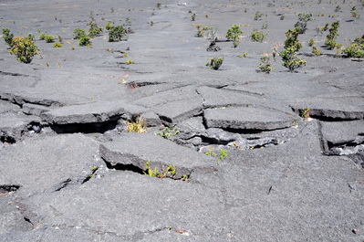 Kīlauea Iki Crater