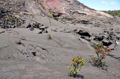 Kīlauea Iki Crater