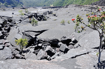Kīlauea Iki Crater