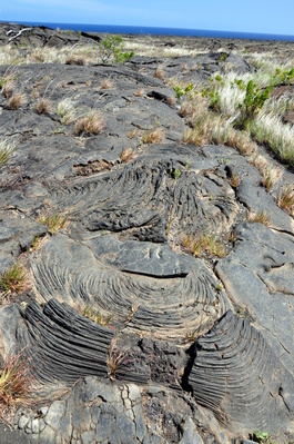 On the petroglyph walk