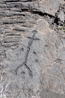 On the petroglyph walk