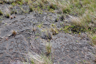 On the petroglyph walk