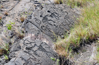 On the petroglyph walk