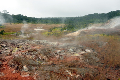 Sulphur fields