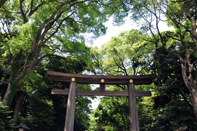 Torii at entrance to Meiji Jingū shrine