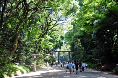 Torii at entrance to Meiji Jingū shrine