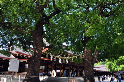 Meiji Jingū shrine