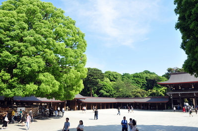 Meiji Jingū shrine
