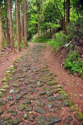 The Old Tōkaidō Road