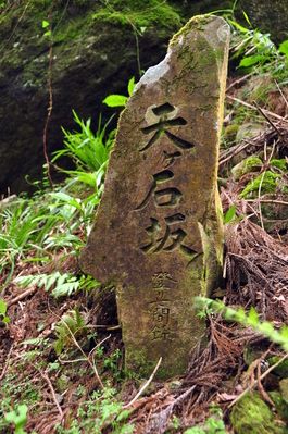 On the Old Tōkaidō Road